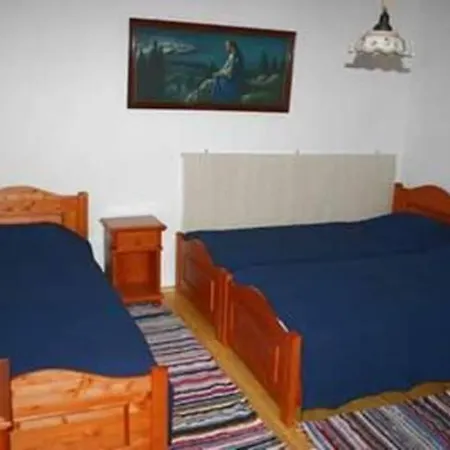 Anna Falusi Vendeghaz *