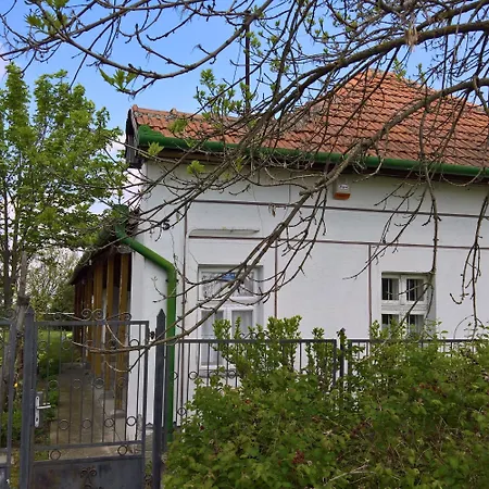 Anna Falusi Vendeghaz