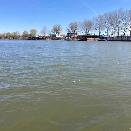 Anna Falusi Vendeghaz Sarud